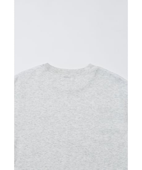 The Lion King / tee / gray [ Shipped in early Jul. ]
