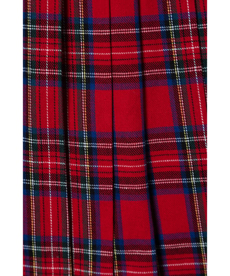 Pleated skirt / tartan plaid