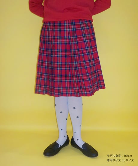 Pleated skirt / tartan plaid
