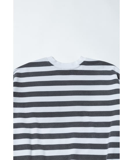 Disney sports sweatshirt（Pluto） / stripe
