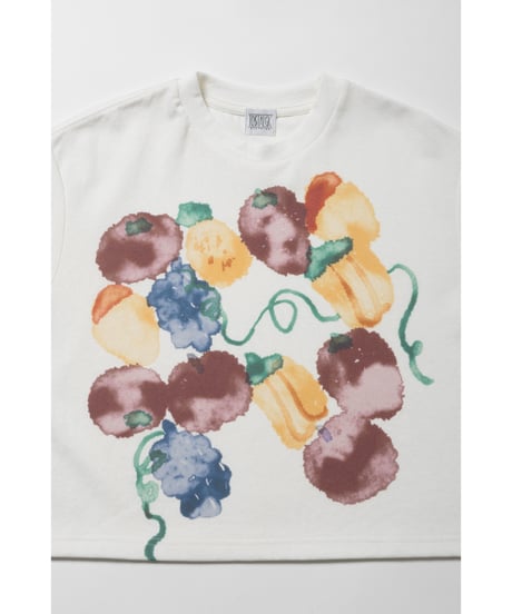Fruits paint Tshirts / white