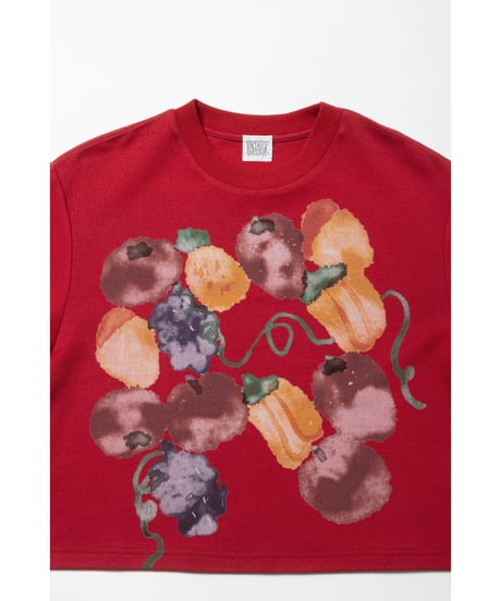 Fruits paint Tshirts / red