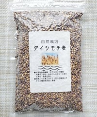 管99／種籾　ハッピーヒル　1kg うるち米　自然 ハッピーヒル種籾（うるち米）（陸稲種籾）100ml（約70g