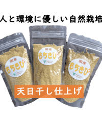 自然栽培　ダイシモチ麦　6kg もち麦（ダイシモチ）【無農薬・無肥料・天日干し】 ののま自然