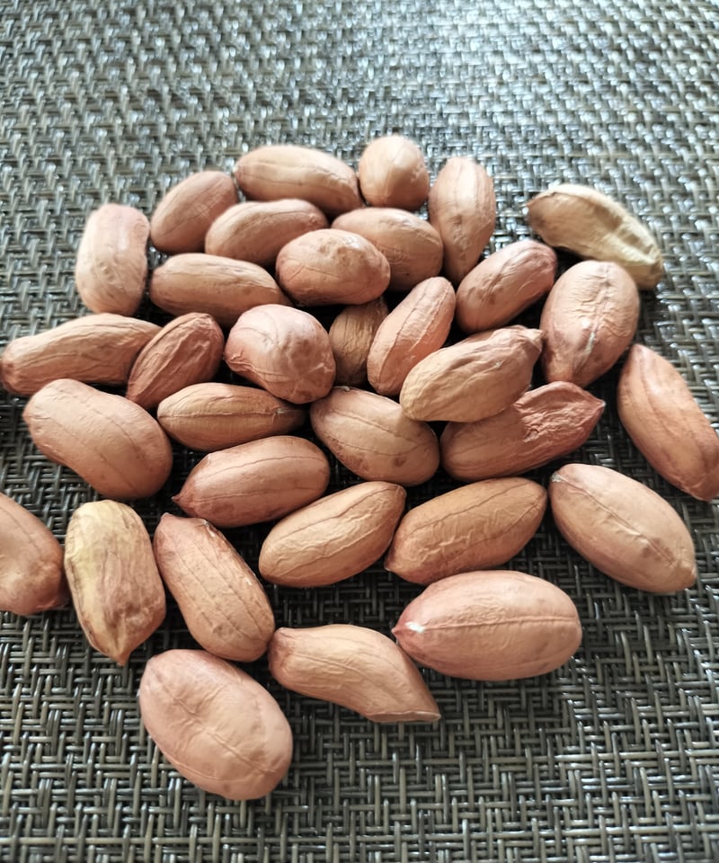 千葉県産 落花生おおまさり むき実種（家庭菜園向け） | 河村のうえん