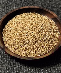 ハッピーヒル種籾（うるち米）（陸稲種籾）100ml（約70g