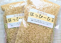 令和6年産【期間限定2025年３月末まで・ポスト投函】ハッピーヒル・玄米お試しパック　３００ｇ×２パック入り