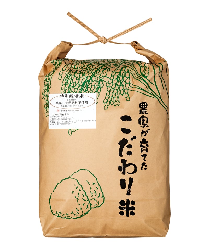 年予約者専用】令和7年度千葉県産コシヒカリ冷めてもしっとり甘く 