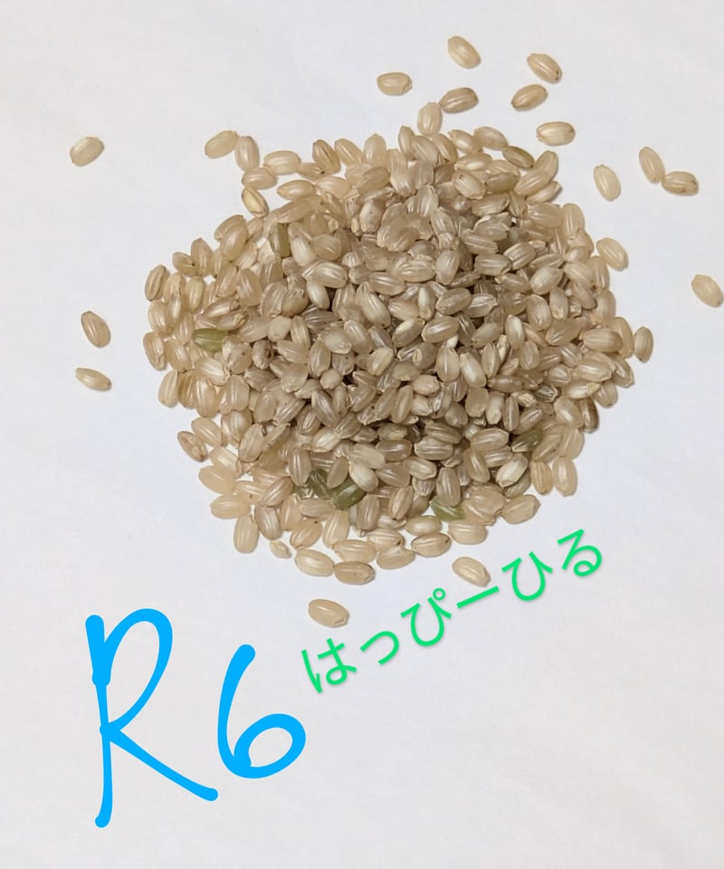 ハッピーヒル種籾（うるち米）（陸稲種籾）100ml（約70g）(2200粒位