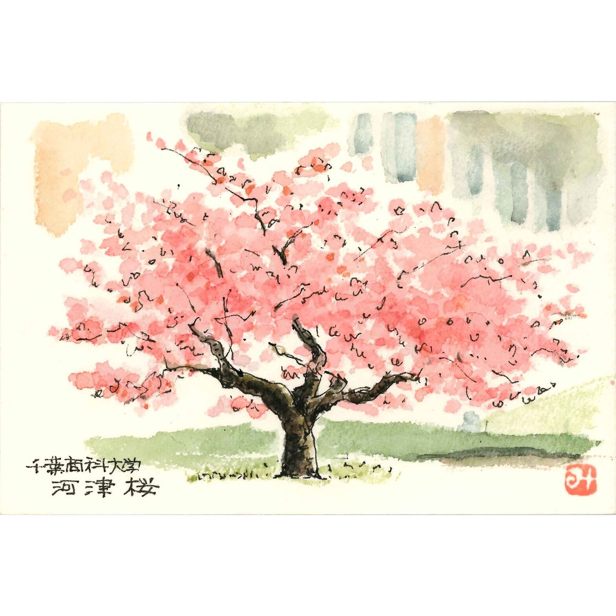 絵葉書 7枚セット | 千葉商科大学グッズ OFFICIAL SHOP 絵葉書 7枚セット | 千葉商科大学グッズ OFFICIAL SHOP
