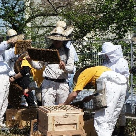 <2025年度分・販売日未定>◎数量限定◎「国府台 bee Garden」はちみつ