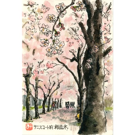 絵葉書　7枚セット