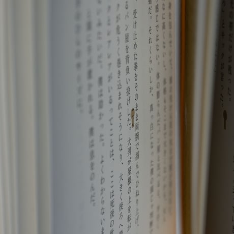 鍵のかかった文芸誌
