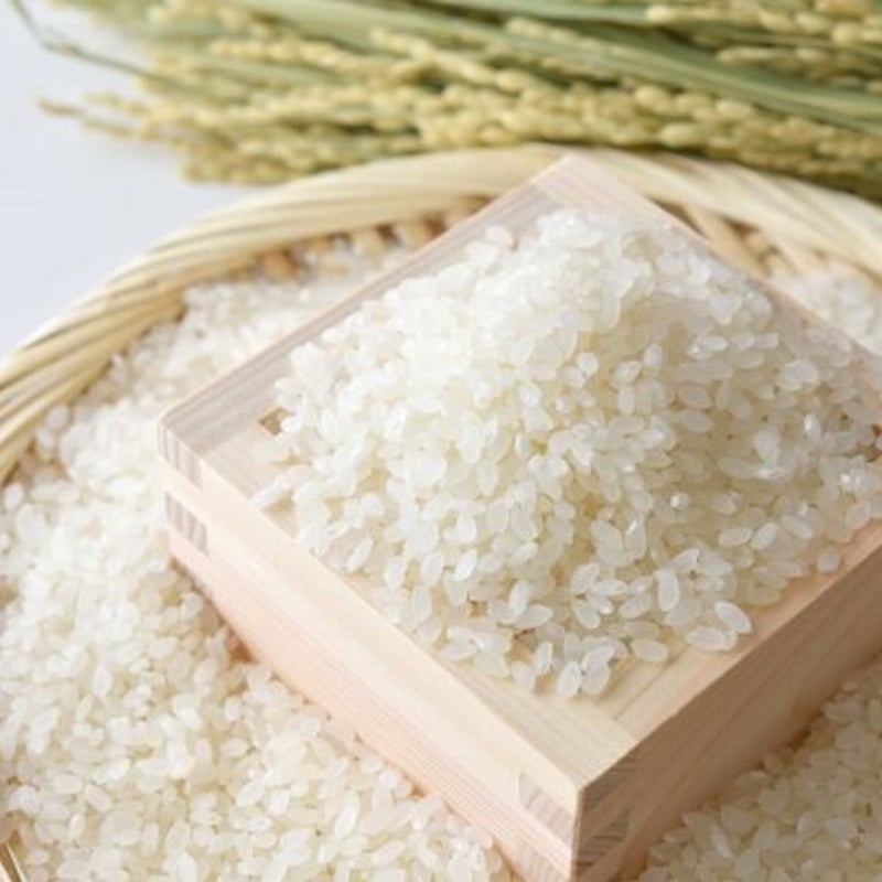 令和7年産 なつほのか20kg 送料無料 | 大窪農園