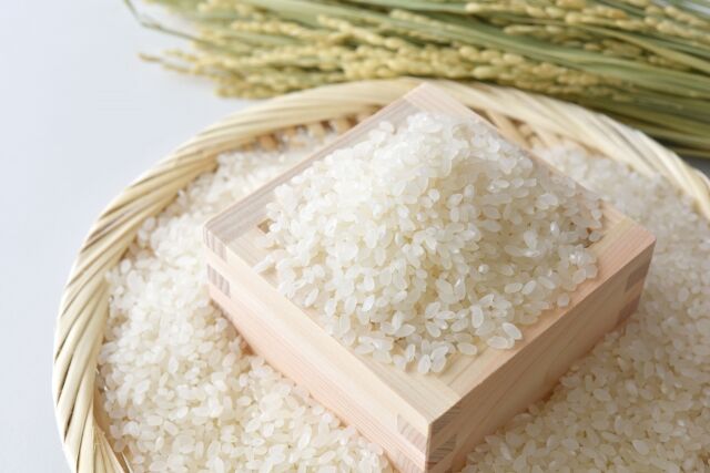 令和7年産 なつほのか20kg 送料無料 | 大窪農園