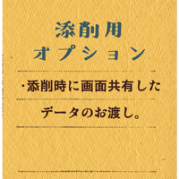 添削用オプション