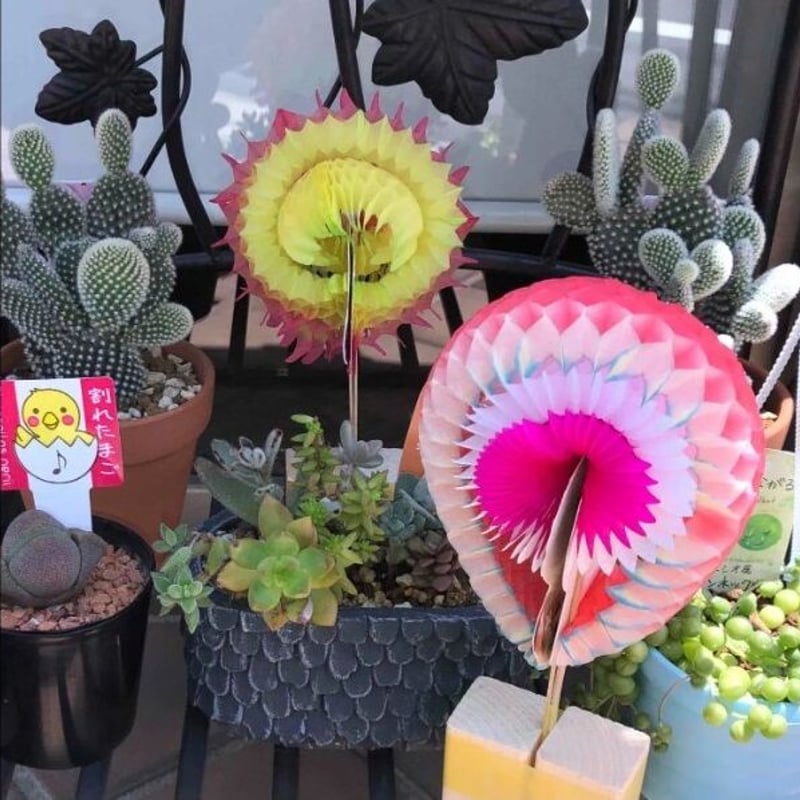 ヘイホーページA5 花華 Men's Size 8.5 Nike SB Dunk High Pro QS 'Hawaii Maui Wowie' Floral