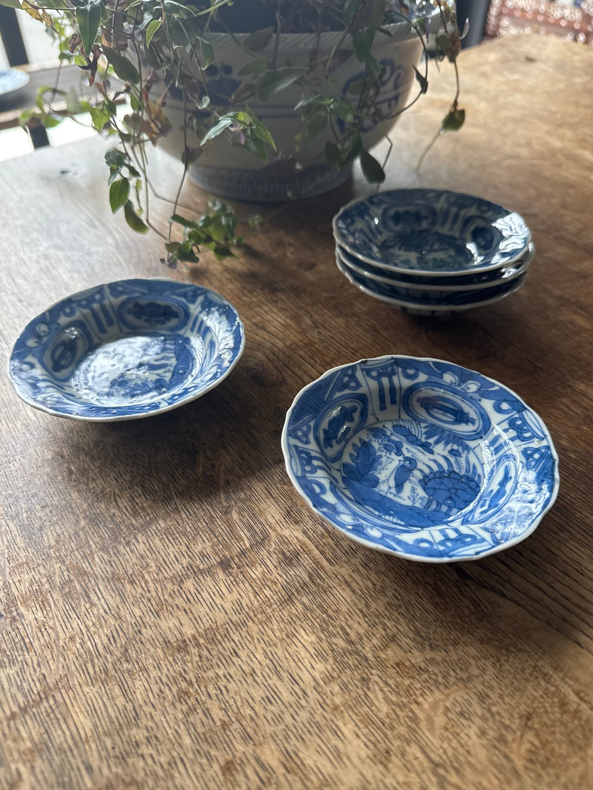 古伊万里 染付芙蓉手文 小皿/手塩皿 5客セット | Kaikaroman ONLINE STORE