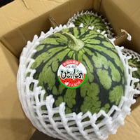 【希少品】生産者指定「ひとりじめスイカ」1玉