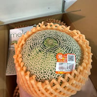 【希少品】青肉アンデスメロン・赤肉クインシーメロン　各1玉