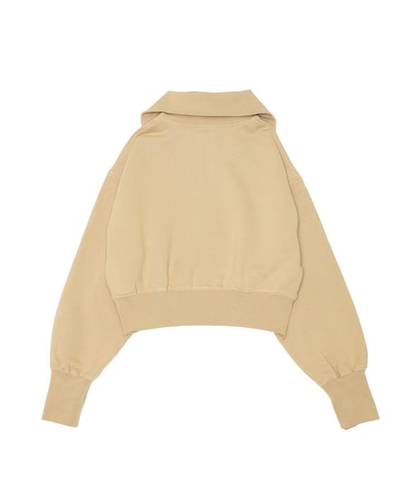 BIG COLLAR HALF ZIP TOP ／ビッグカラーハーフジップトップ［TAG23A-003］