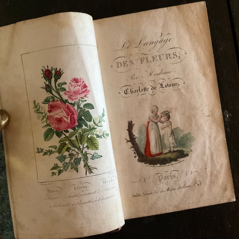 Le Langage des Fleaurs Sauvages　花言葉　仏語洋書 Le langage des fleurs | 書架の周辺