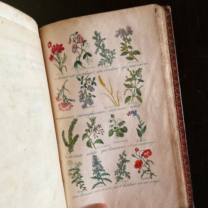 Le langage des fleurs | 書架の周辺