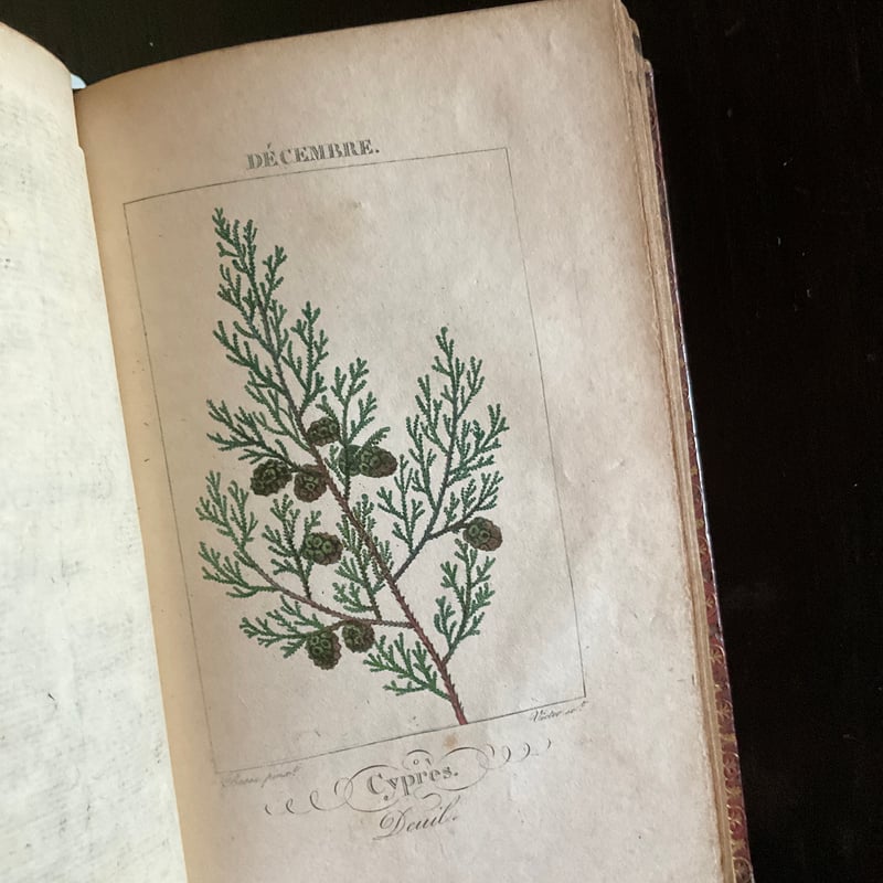 Le langage des fleurs | 書架の周辺