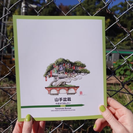 「山手盆栽」イラスト集