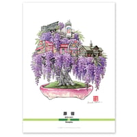 「山手盆栽：原宿」A4ミニポスター