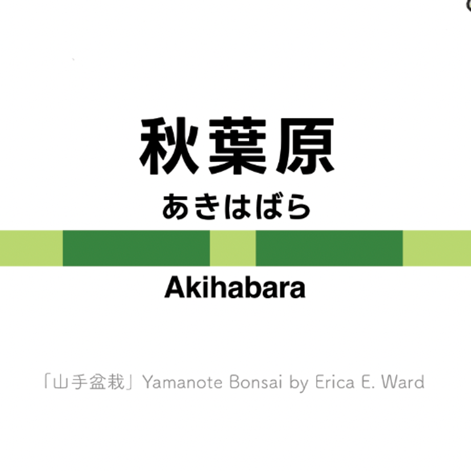 674480d97ae10412de154e32