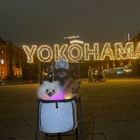 ピカピカネックレス