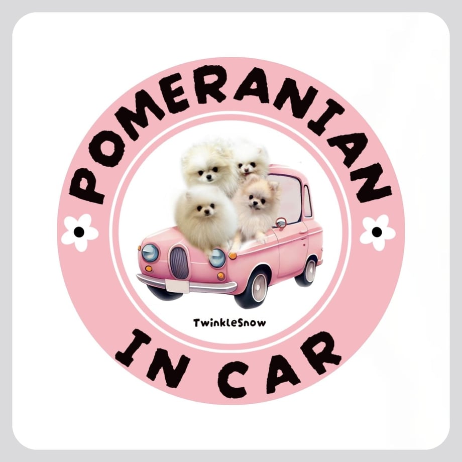 655b542de04d45050af01f82