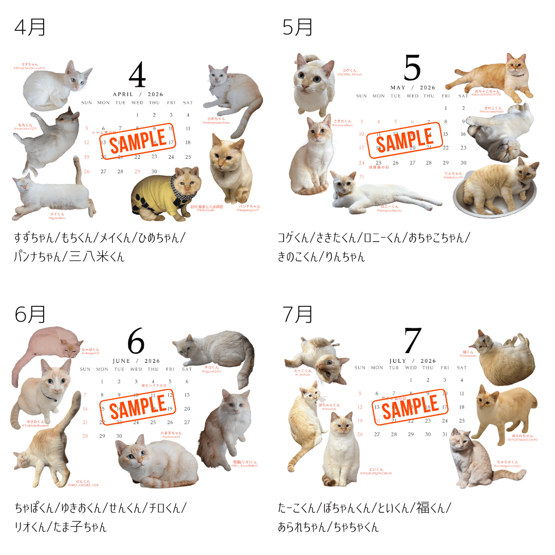保護猫ファミリーさま専用オーダーページ fit=scale-down,w=1200