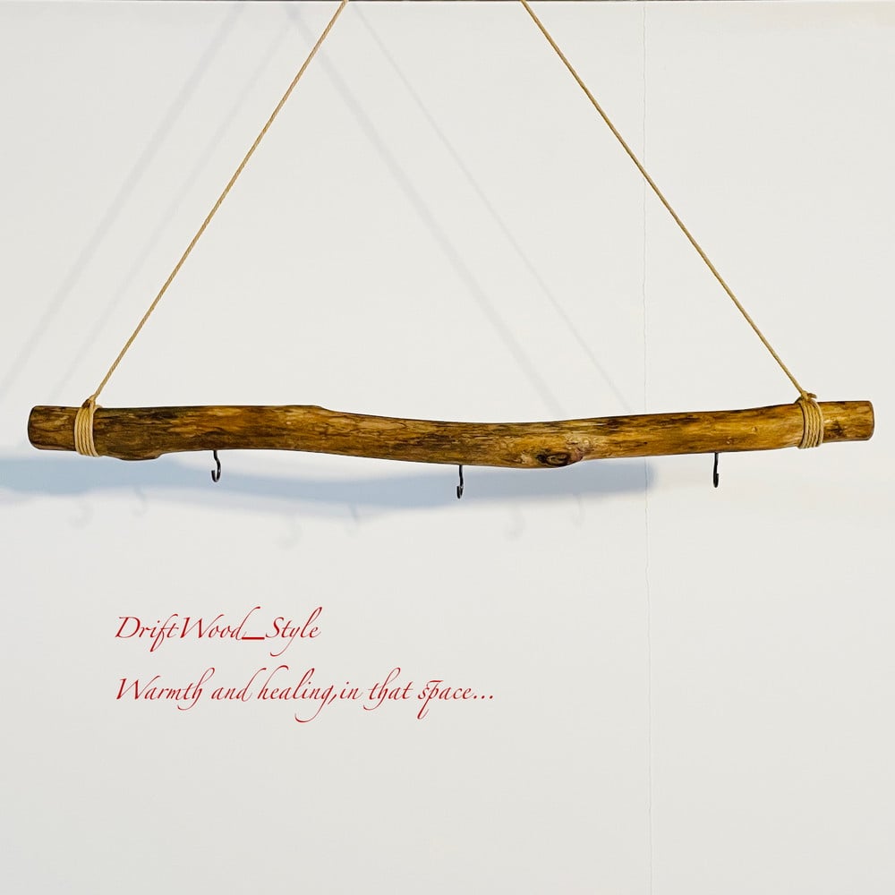 流木インテリア 無骨で古木風な天然流木のハンガーフック 流木
