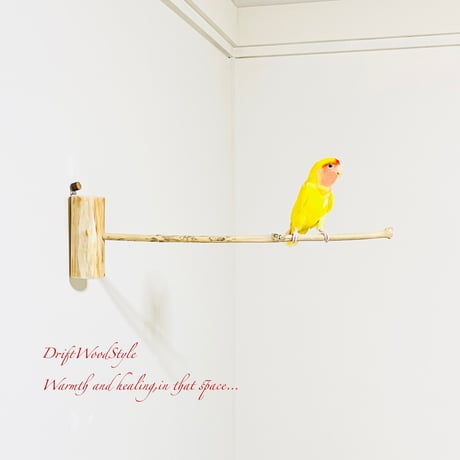 CATEGORY 止まり木・パーチ | DriftWoodStyle STORE