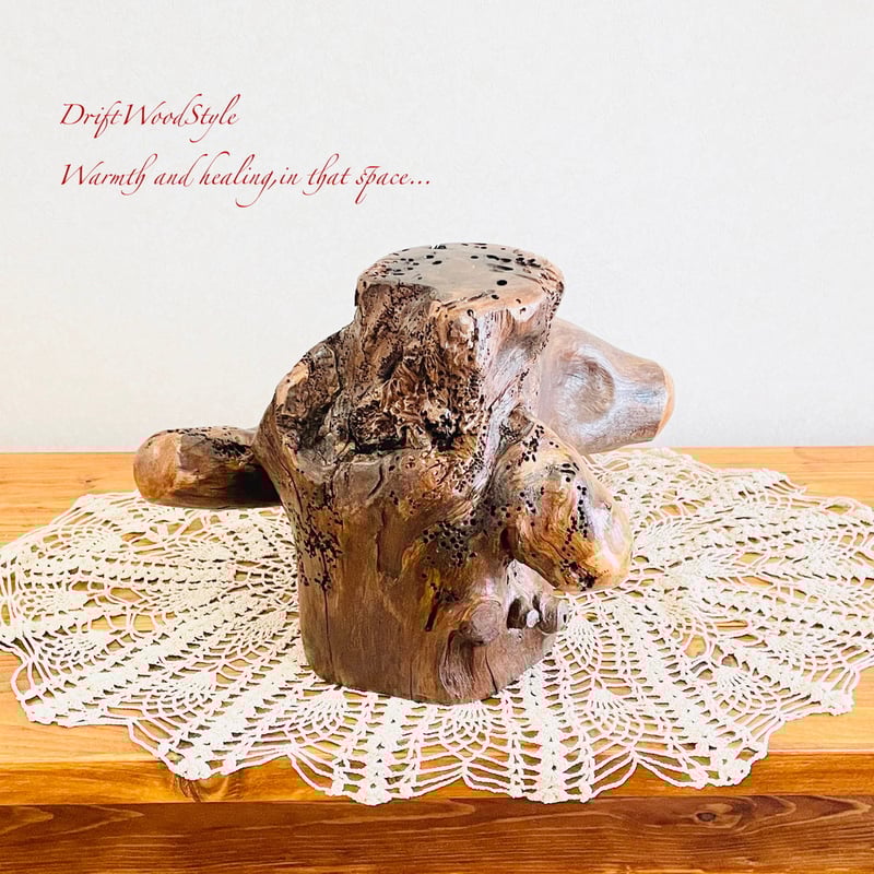 流木インテリア 芸術的な木の根が美しい流木 スタンド 植物や小物を