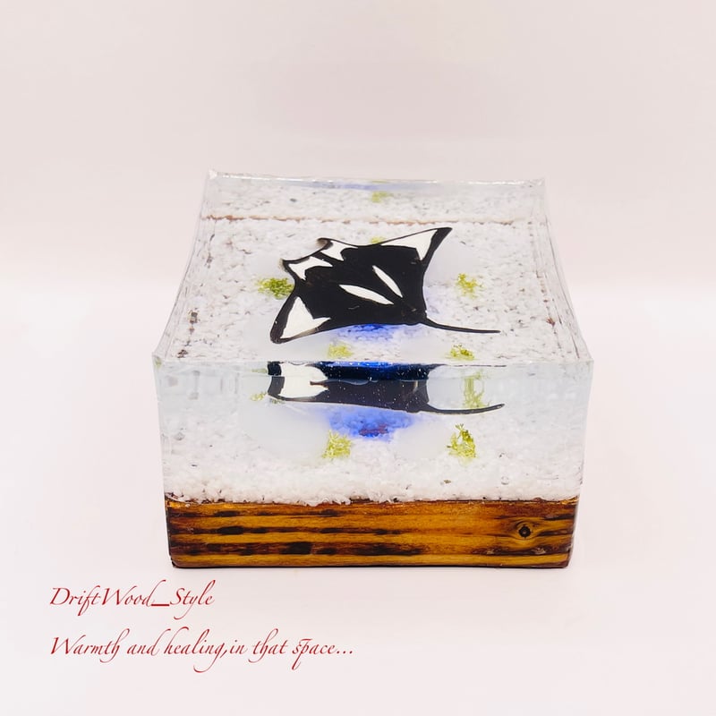 海の世界を閉じ込めた流木アート マンタ 水中ジオラマ 流木 レジン