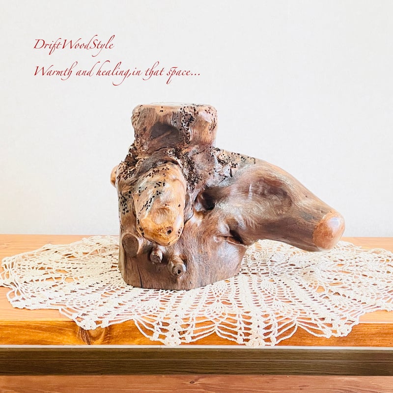 流木インテリア 芸術的な木の根が美しい流木 スタンド 植物や小物を