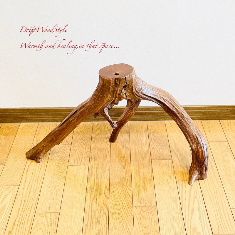 流木インテリア 芸術的に伸びる木の根が美しい流木 スタンド 植物や