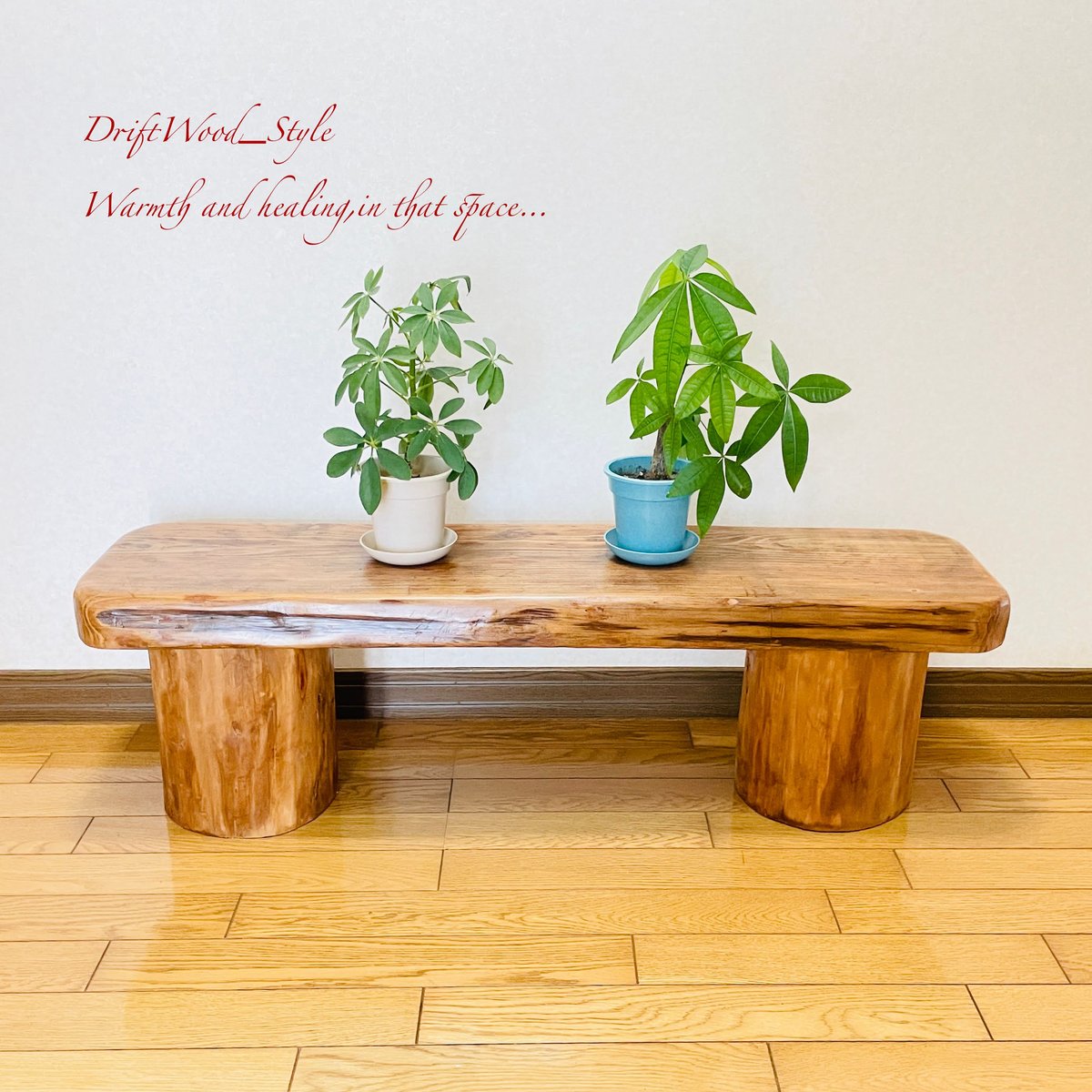 流木インテリア 分厚い流木板を使用した一点物のベンチ 一点物