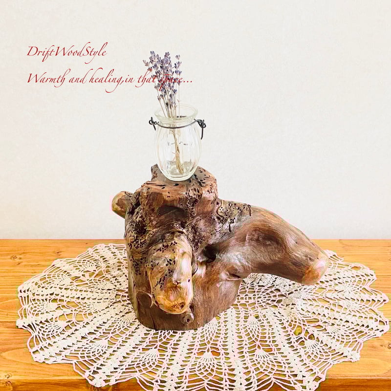 流木インテリア 芸術的な木の根が美しい流木 スタンド 植物や小物を