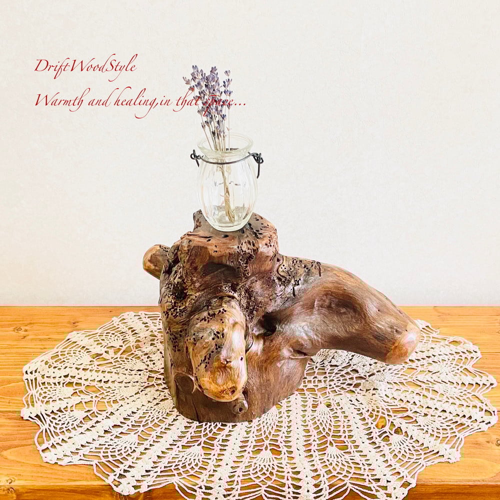 流木インテリア 芸術的な木の根が美しい流木 スタンド 植物や小物を