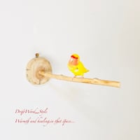 流木止まり木 シンプルな天然流木の小鳥の止まり木 吊り下げ