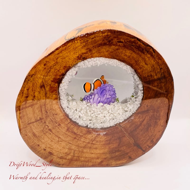 海の世界を閉じ込めた流木アート カクレクマノミ 水中ジオラマ 流木