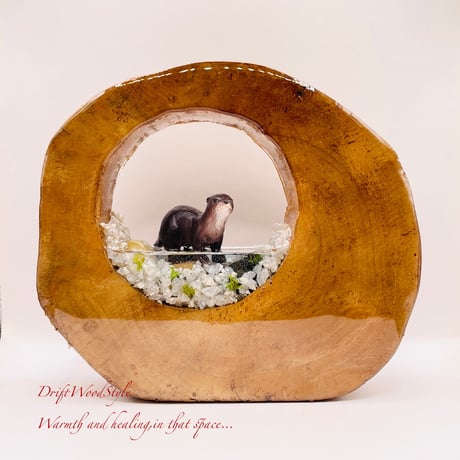 カワウソ | STORES