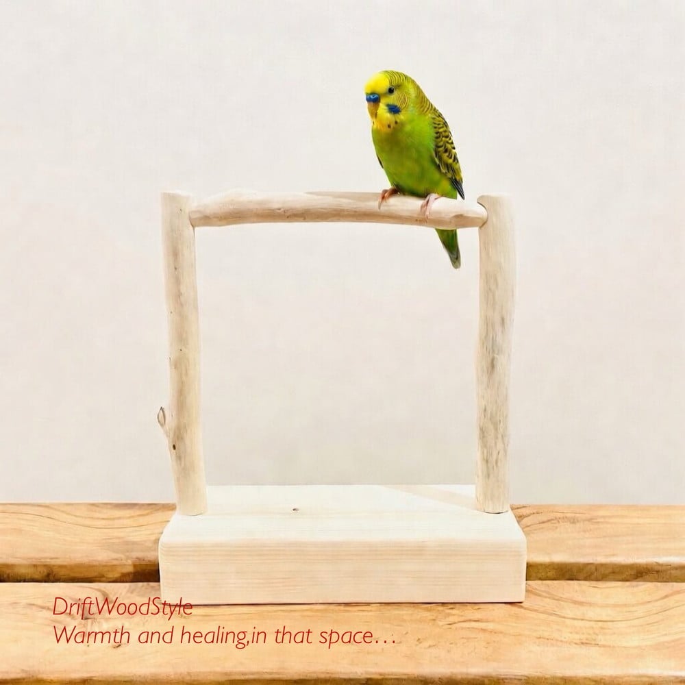 流木止まり木 小～大型インコが止まれる天然流木の小鳥の止まり木