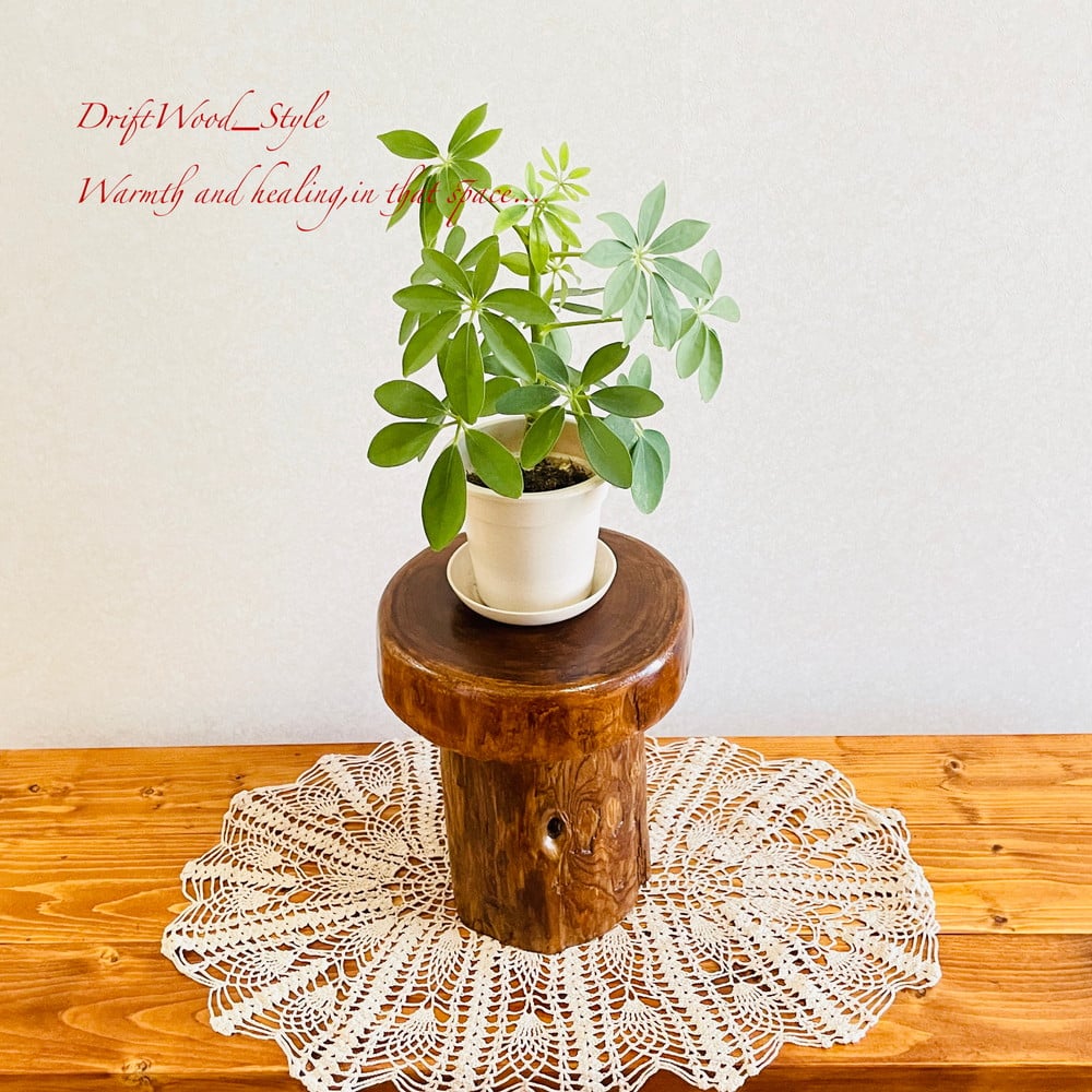 流木の椅子花台スツール流木インテリアディスプレイ台丸太輪切り切り株 流木の椅子花台スツール流木インテリアディスプレイ台丸太輪切り切り株