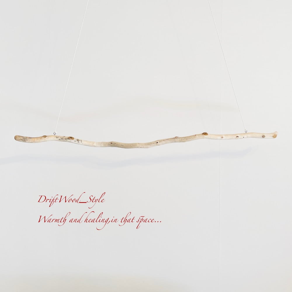 流木インテリア うねりを描く大型流木のハンガーラック 北欧 衣装掛