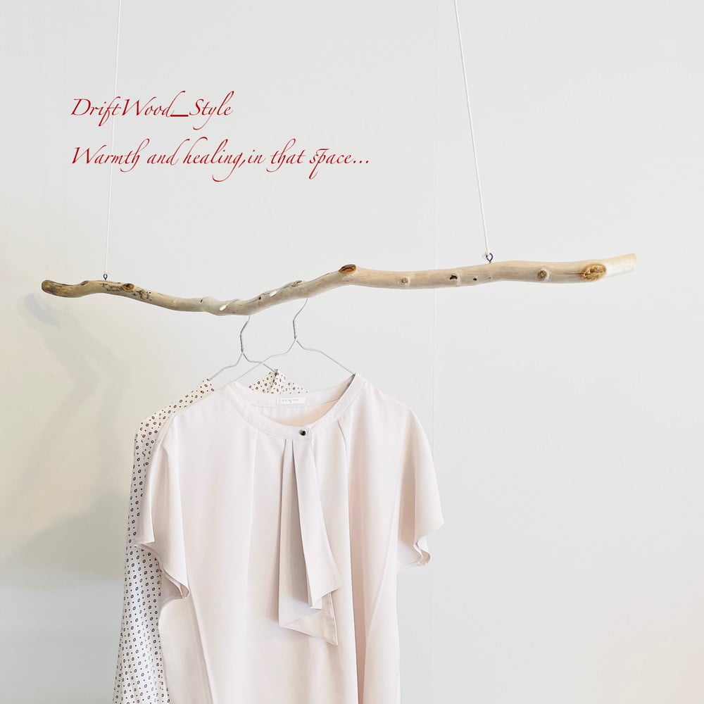 流木インテリア うねりを描く大型流木のハンガーラック 北欧 衣装掛